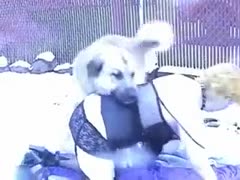 This bestiality episode features a charged-up, plump, fresh-faced skank having a K9 screw her bawdy crevice.